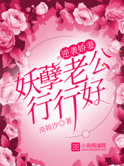 盛世歡顏涼暖意