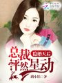 隱婚天后：總裁怦然星動