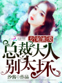 專寵蜜愛：總裁大人別太壞