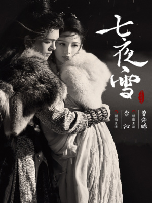 七夜雪（李沁、曾舜晞主演同名影視劇原著小說）