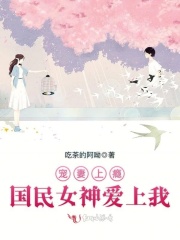 寵妻上癮，國(guó)民女神愛上我