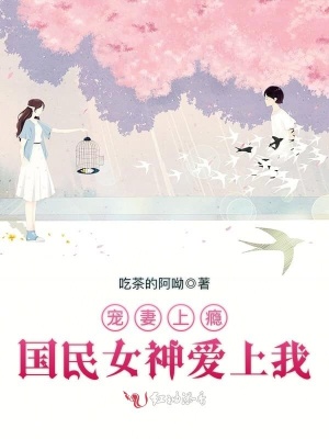 寵妻上癮，國民女神愛上我
