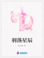 羽落星辰