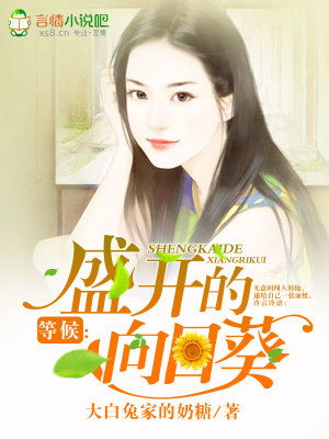 等候：盛開的向日葵
