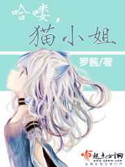 哈嘍貓小姐