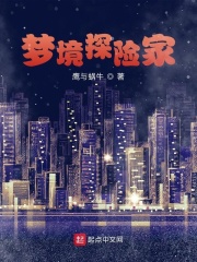 夢(mèng)境探險(xiǎn)家