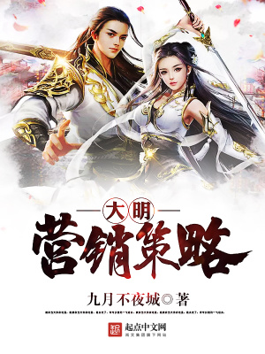 大明營銷策略