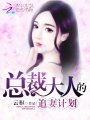 總裁大人的追妻計劃