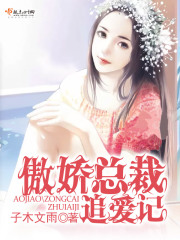 傲嬌總裁追愛記