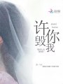 許你毀我