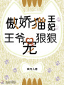 傲嬌貓王妃