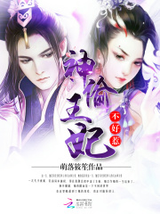 神偷王妃不好惹