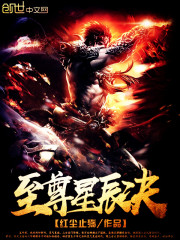 至尊星辰決