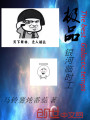 極品銀河臨時工