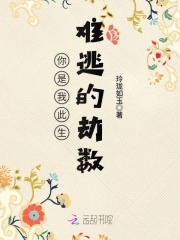 你是我此生難逃的劫數