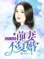 最佳初戀：前妻不復(fù)婚