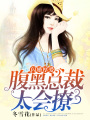 閃婚厚愛：腹黑總裁太會撩