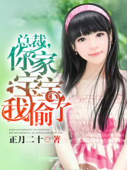總裁，你家寶寶我偷了