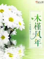 木槿風年