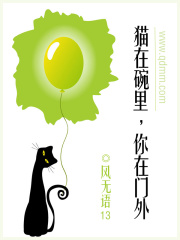 貓?jiān)谕肜锬阍陂T外
