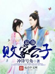 最強(qiáng)敗家公子