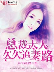 總裁大人，久久追妻路