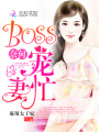 奈何BOSS寵妻忙