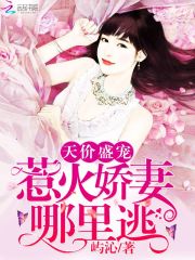 天價盛寵：惹火嬌妻哪里逃