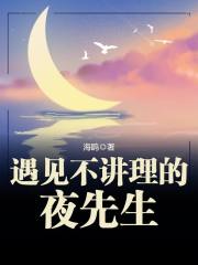 蓝亦诗夜修小说《遇见不讲理的夜先生》在线阅读