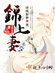 錦上妻