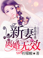 愛劫難逃：新妻離婚無效