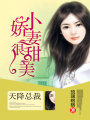 天降總裁：小嬌妻，很甜美