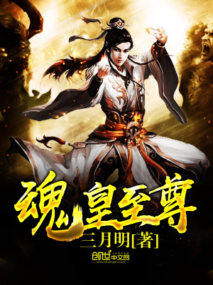 魂皇至尊
