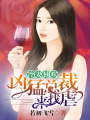 冷妻獨(dú)歡：兇猛總裁來找虐