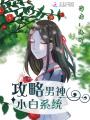 攻略男神小白系統