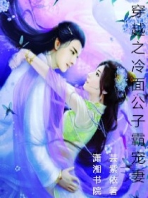 穿越之冷面公子霸寵妻