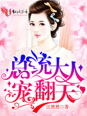 總統(tǒng)大人，寵翻天