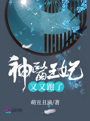 神医王妃又又跑了