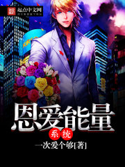恩愛能量系統