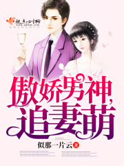 傲嬌男神追妻萌