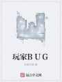 玩家BUG