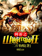 網游之山賊也瘋狂