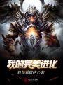 我的完美進(jìn)化