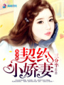 秦少的契約小嬌妻