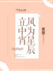風為星辰立中宵