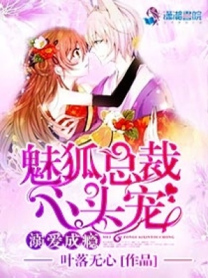 溺愛成癮之魅狐總裁心頭寵