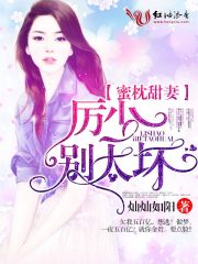 蜜枕甜妻：厲少，別太壞！