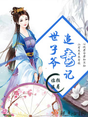世子爺追妻記