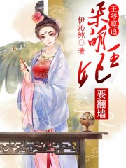 王爺莫追，呆萌王妃要翻墻