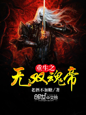 重生之無雙魂帝